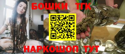 дмт Славгород