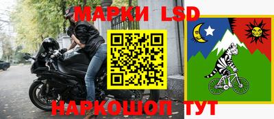 дмт Славгород