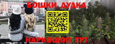 дживик Сланцы