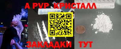 дмт Славгород