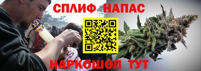 дмт Славгород