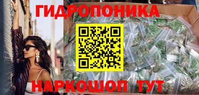 дживик Сланцы