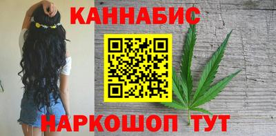 дмт Славгород