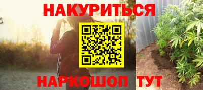 дмт Славгород