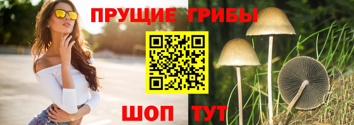 Новочеркасск  Галлюциногенные грибы мицелий  продажа наркотиков  Вход с VPN 